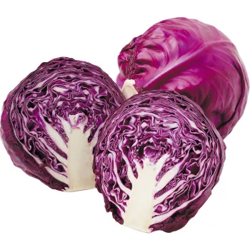 Cabbage (28)-7400045-69852.webp